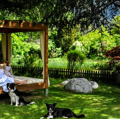 A woman is sitting on a covered bed in the garden, with two dogs lying on the grass in front of her