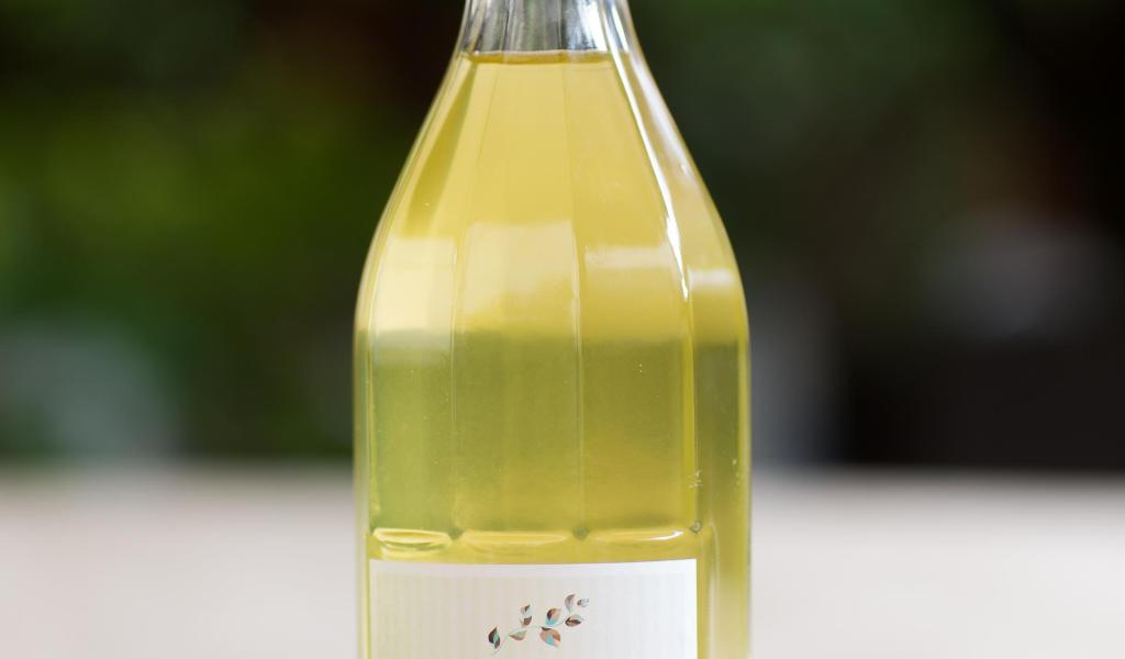 Sciroppo di limone e menta