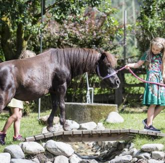 Ein Kind führt ein Pferd