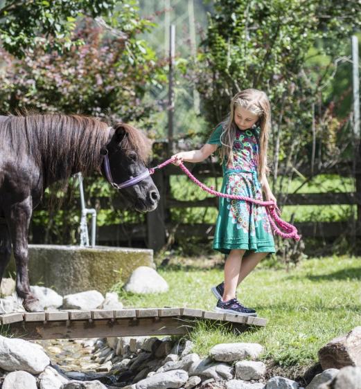 A child is leading a horse