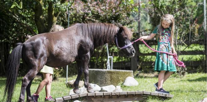 Ein Kind führt ein Pferd