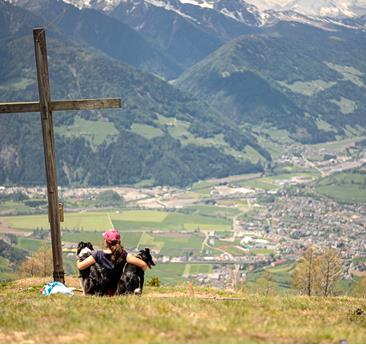 Frau mit zwei Hunden am Gipfelkreuz