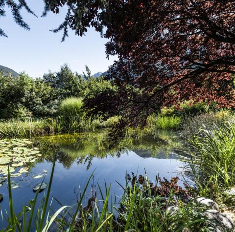 Il laghetto del giardino dell’Hotel Stafler