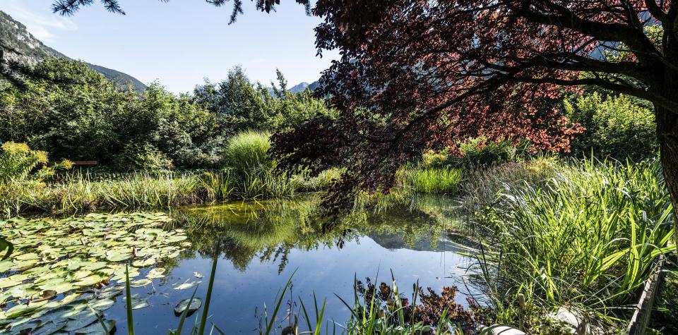 Der Gartenteich des Hotels Stafler