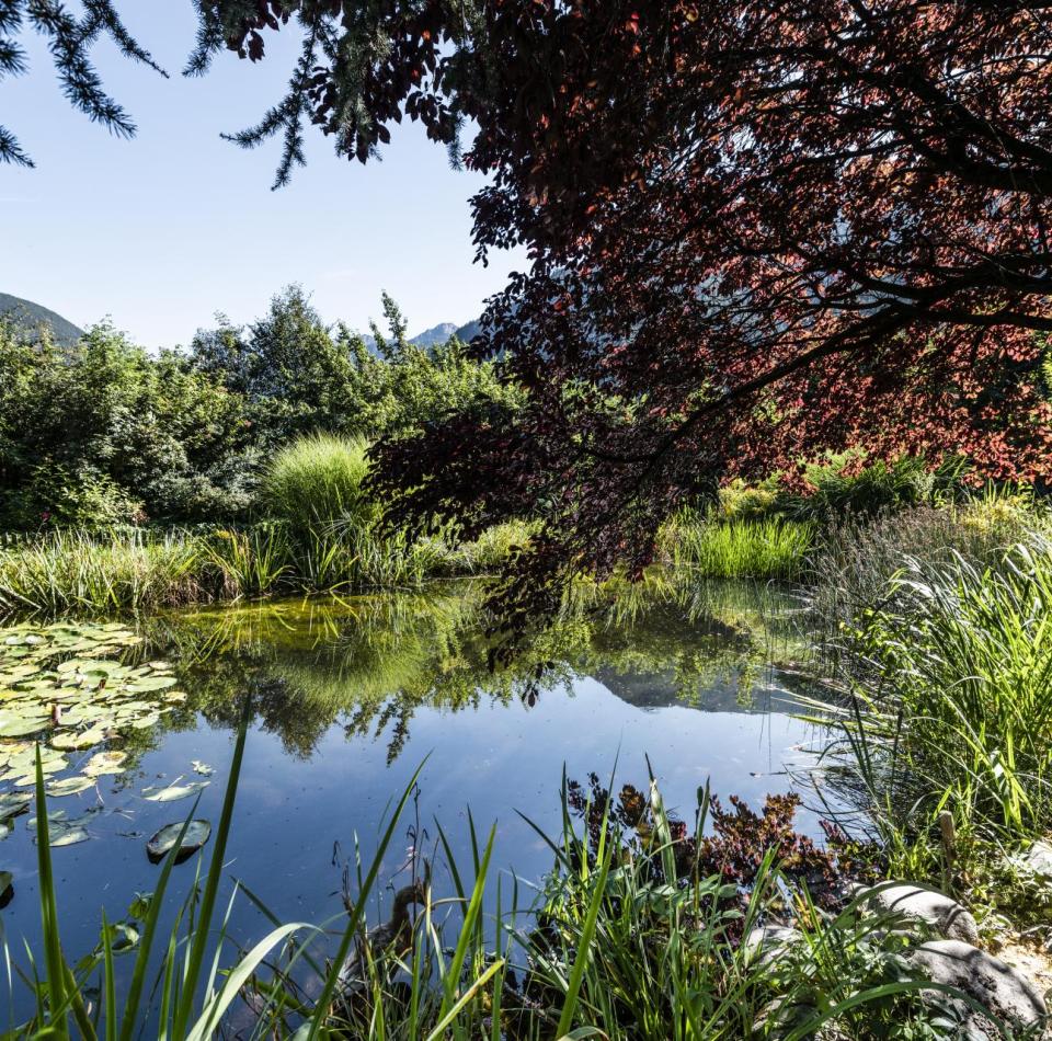 Der Gartenteich des Hotels Stafler