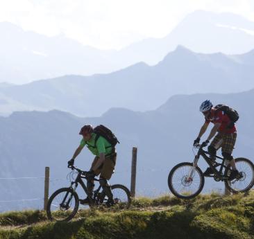 Two men with their bicycles on a downhill trail