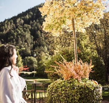 -c-hannes-niederkofler-0924-web-8