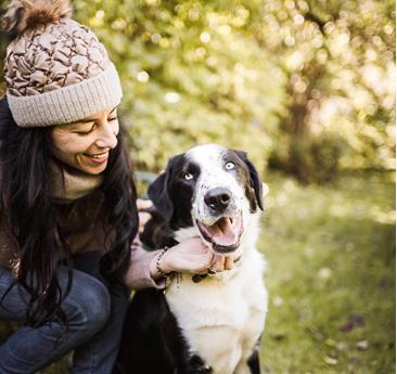 A woman plays with her dog in a sunny meadow among the trees