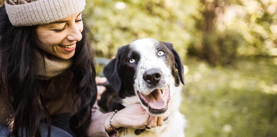 A woman plays with her dog in a sunny meadow among the trees