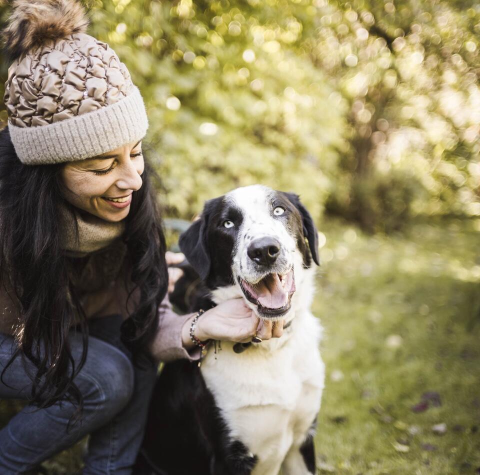 Eine Frau spielt mit ihrem Hund auf einer sonnigen Wiese zwischen den Bäumen
