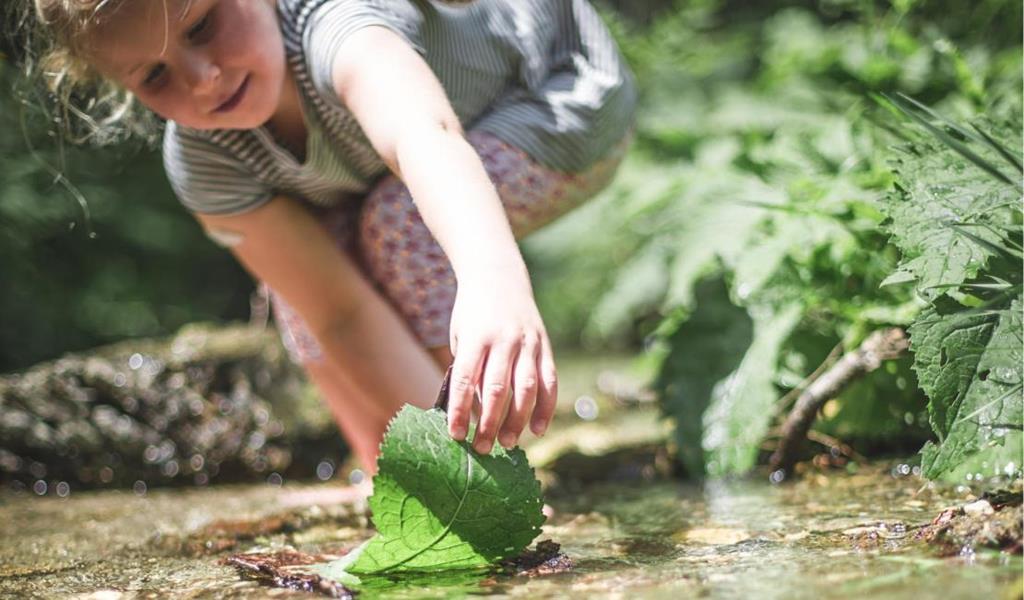 Un bambino gioca presso un ruscello e mette una grande foglia verde nell’acqua