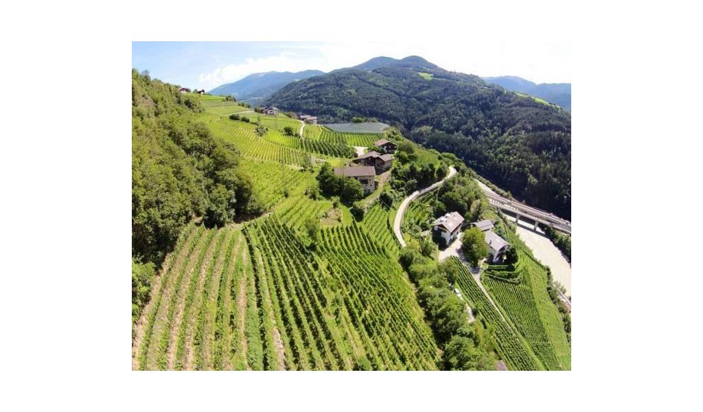 Ripidi terrazzamenti vitati si arrampicano sui pendii, tra i quali sorgono masi, mentre nella valle un fiume serpeggia tra le montagne verdi