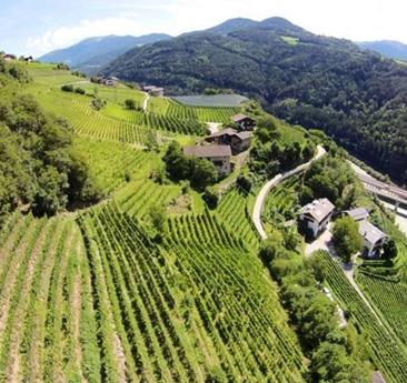 Steep vineyard terraces climb the slopes, with farmsteads in between, while a river winds through the green mountains in the valley