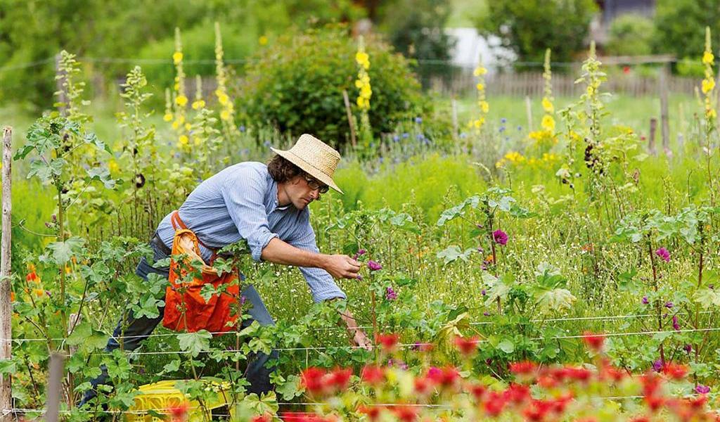Giardino delle Erbe della Val di Susa
