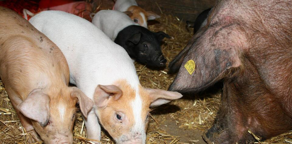 WhatsApp Bild 2025-10-25 um 20.21.07_83f8dcbc