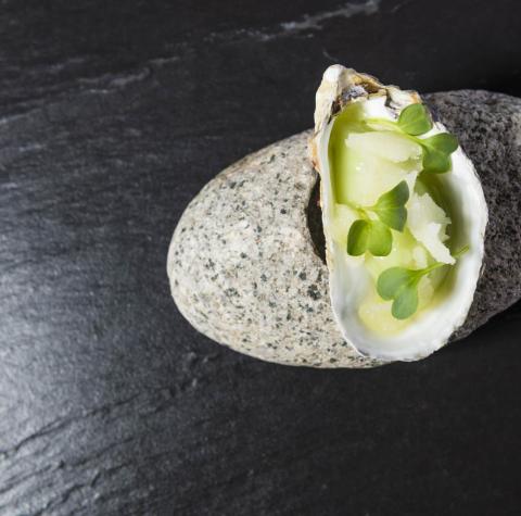 An artfully presented dish in a seashell, served on a stone surface