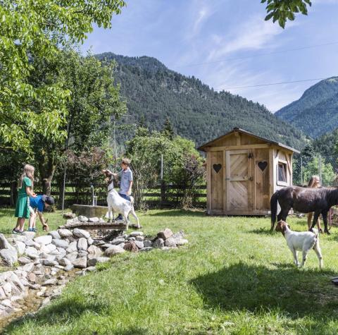 I bambini giocano nello zoo dei cuccioli