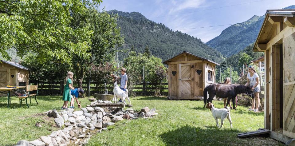 Children are playing in the petting zoo