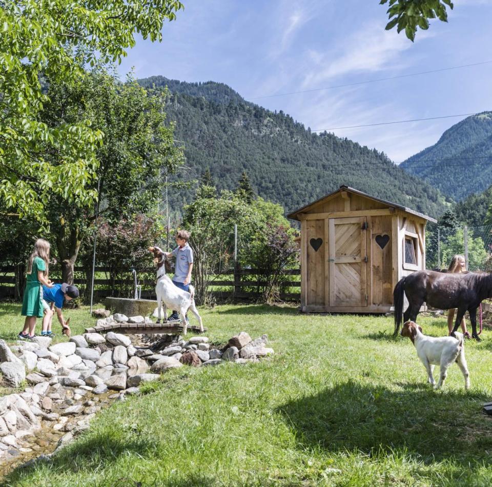 I bambini giocano nello zoo dei cuccioli