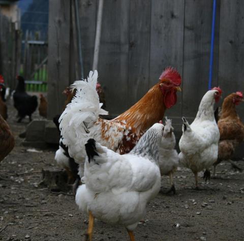 WhatsApp Bild 2025-10-25 um 20.21.05_fa8a8b0b