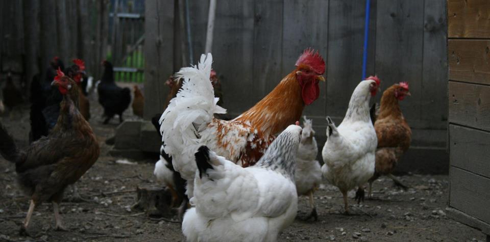 WhatsApp Bild 2025-10-25 um 20.21.05_fa8a8b0b