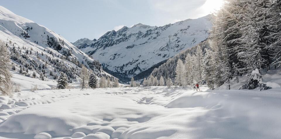 Un paesaggio montano innevato con due sciatori di fondo