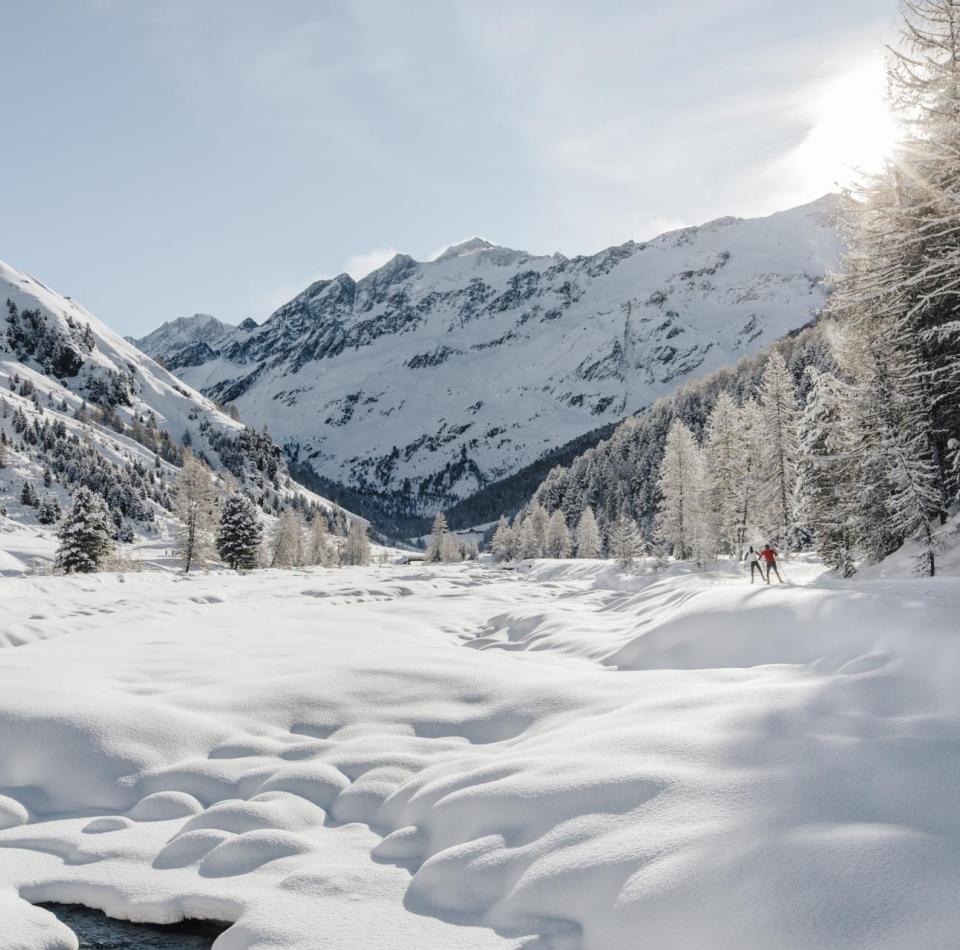 Eine verschneite Berglandschaft mit zwei Langläufern