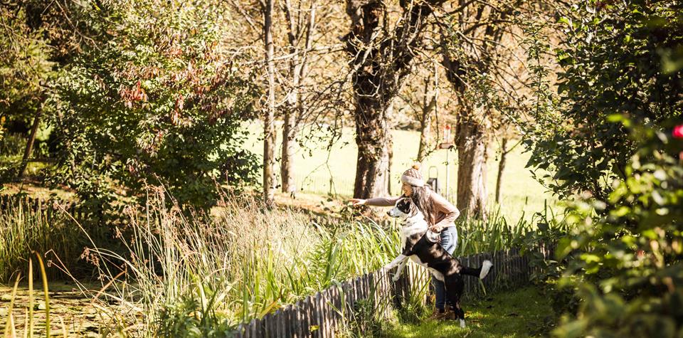 Eine Frau spielt mit ihrem Hund auf einer sonnigen Wiese zwischen den Bäumen