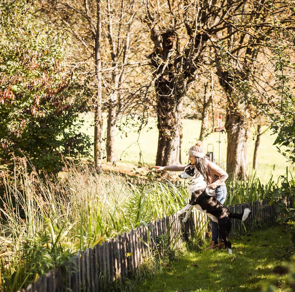 A woman plays with her dog in a sunny meadow among the trees