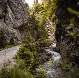 Un torrente di montagna