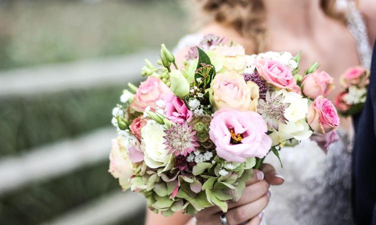 stafler-hochzeit