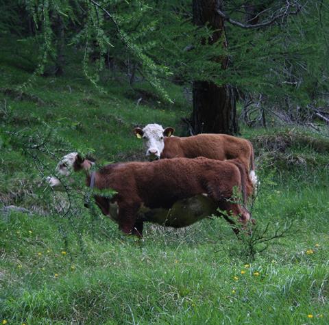 WhatsApp Bild 2025-10-25 um 21.08.35_6fe9bd2d