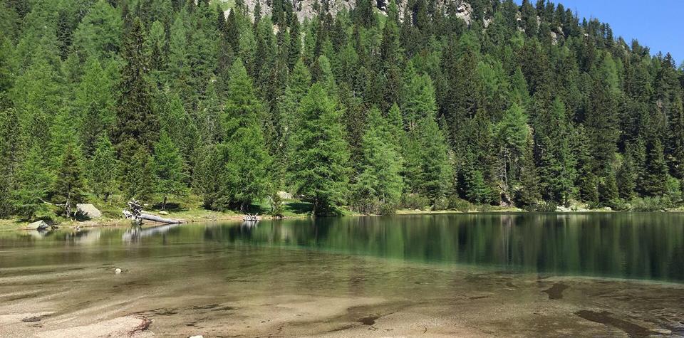 5715984FB610219B3EA1B912FF82A141