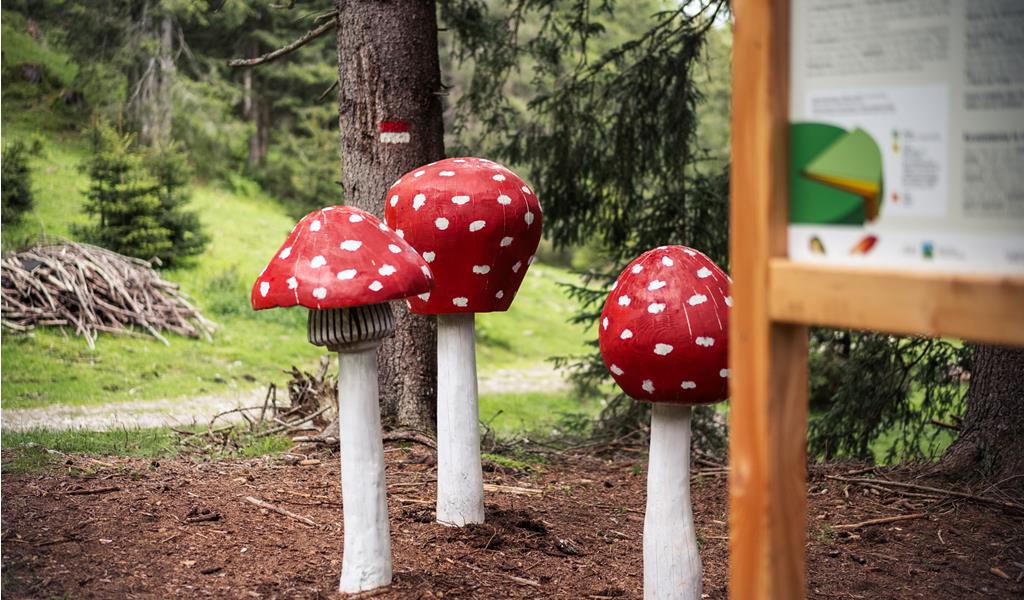 Tre funghi di legno a forma di amanita muscaria in un bosco