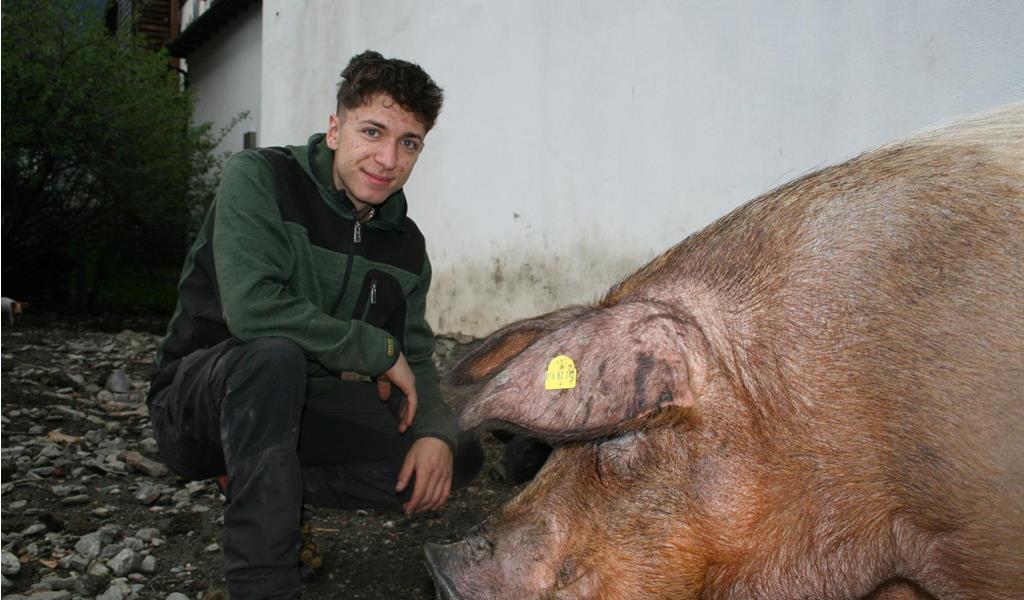 whatsapp-image-2026-01-25-at-13-31-03