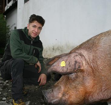 whatsapp-image-2026-01-25-at-13-31-03