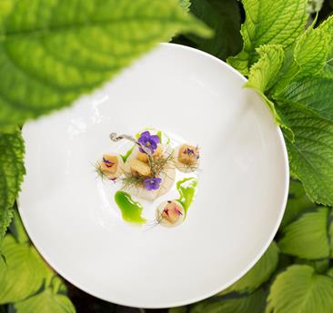 An artfully presented dish