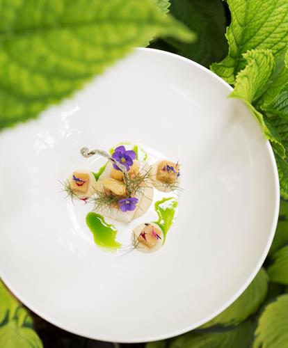 An artfully presented dish