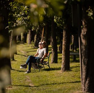A man and a woman sit on a bench along a tree-lined avenue
