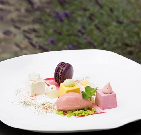 Ein kunstvoll angerichtetes Dessert