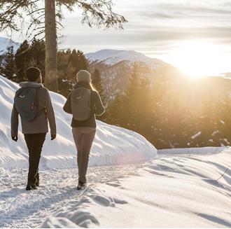 winterfoto-zugeschnitten