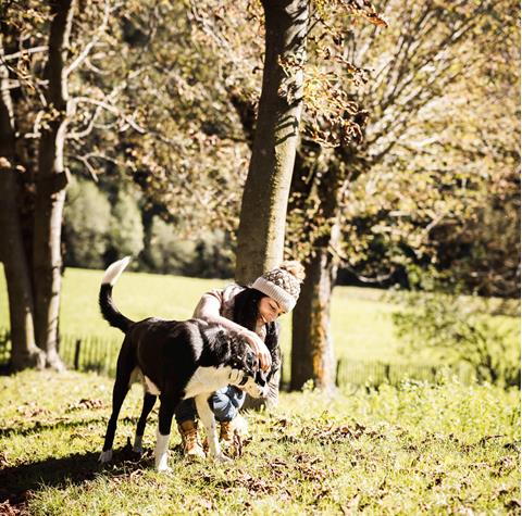 Eine Frau spielt mit ihrem Hund auf einer sonnigen Wiese zwischen den Bäumen