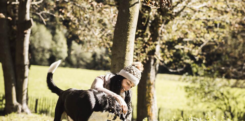 A woman plays with her dog in a sunny meadow among the trees