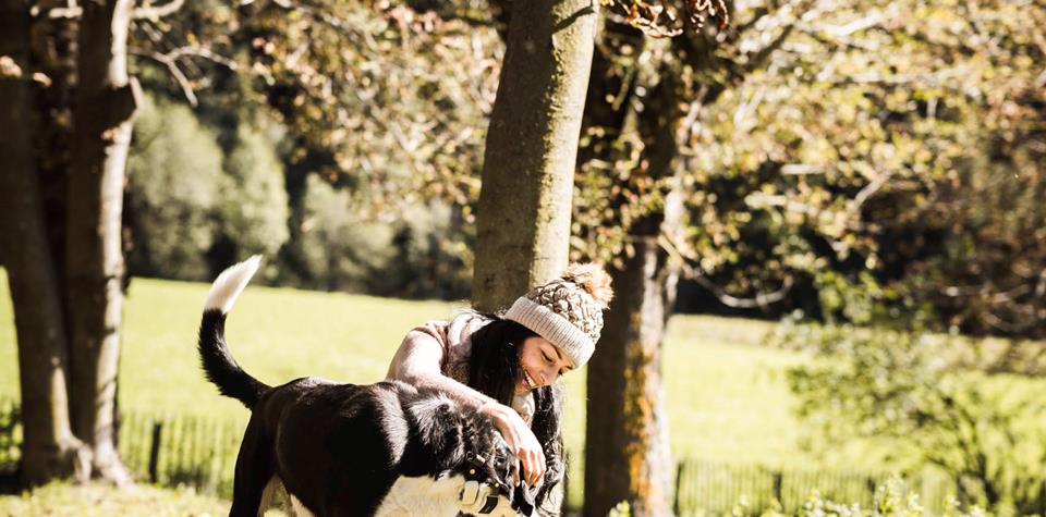 Eine Frau spielt mit ihrem Hund auf einer sonnigen Wiese zwischen den Bäumen