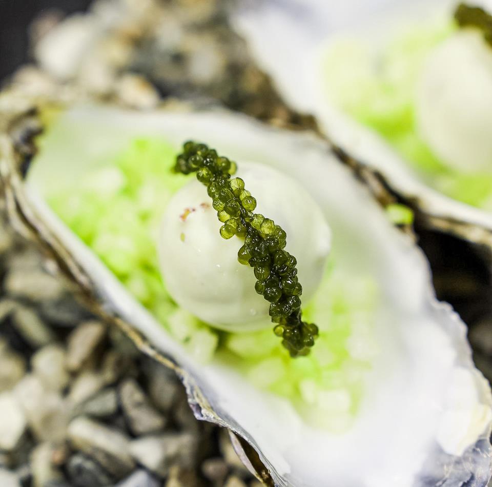 Oysters elegantly arranged