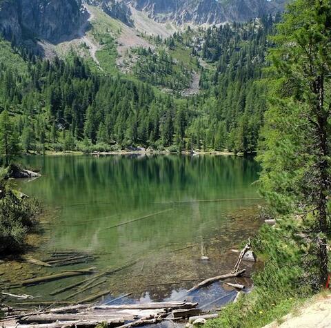 Mitten-im-Wald-liegt-der-idyllische-Puntleider-See-jpg