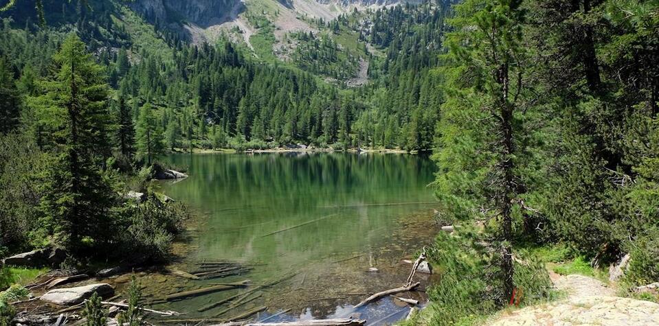 Mitten-im-Wald-liegt-der-idyllische-Puntleider-See-jpg