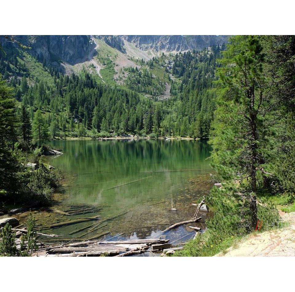 Mitten-im-Wald-liegt-der-idyllische-Puntleider-See-jpg