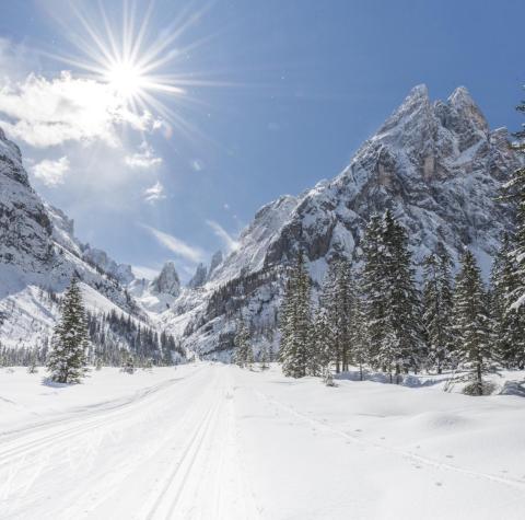 Una pista da sci di fondo