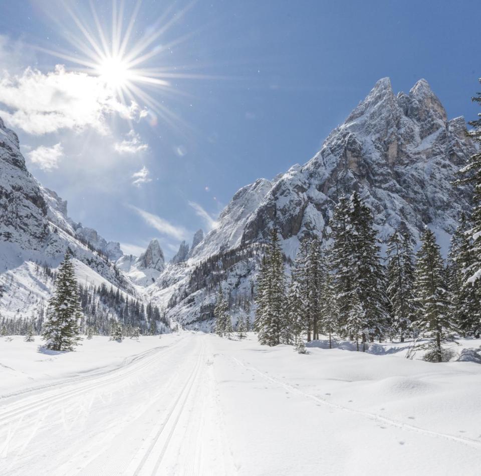 A cross-country ski trail